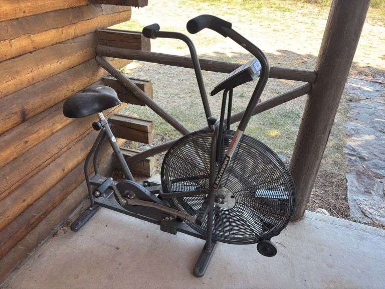 Schwinn airdyne exercise bike image