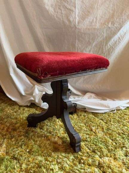 Organ stool image