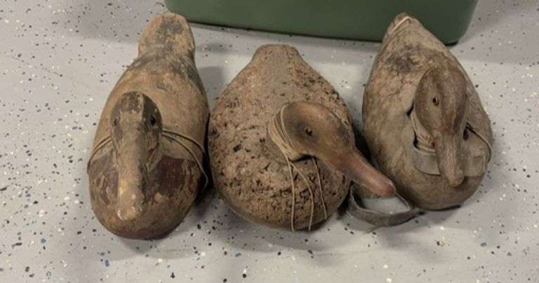 Group of 3 Duck Decoys image