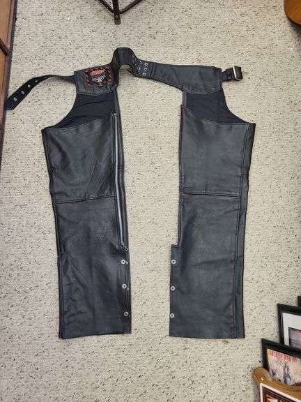Leather chaps M image