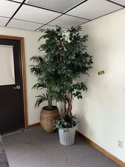 Two approx 6’ tall artificial plants