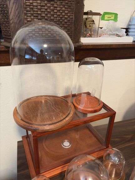 6 glass domes and glass display box