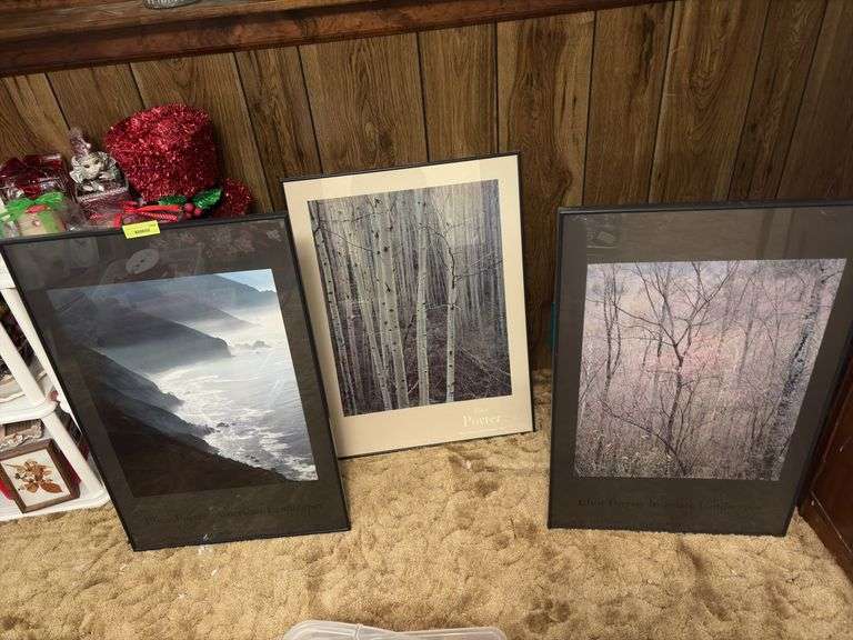 Three pieces of Eliot Porter wall art image