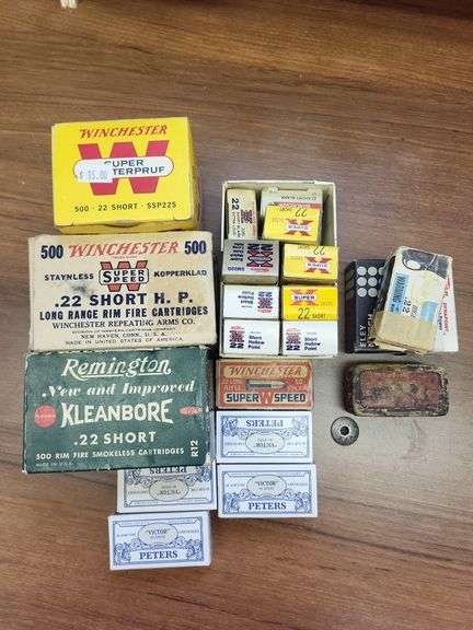 .22 short image