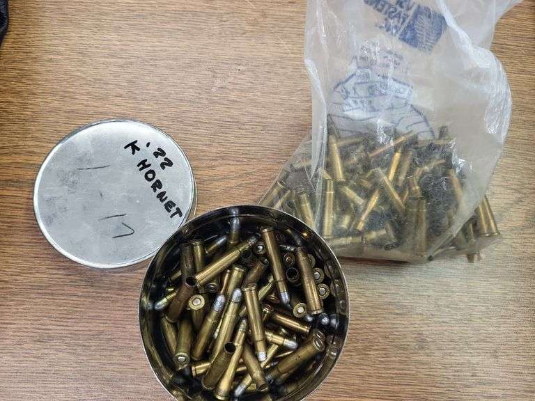 22 hornet brass and bullets image