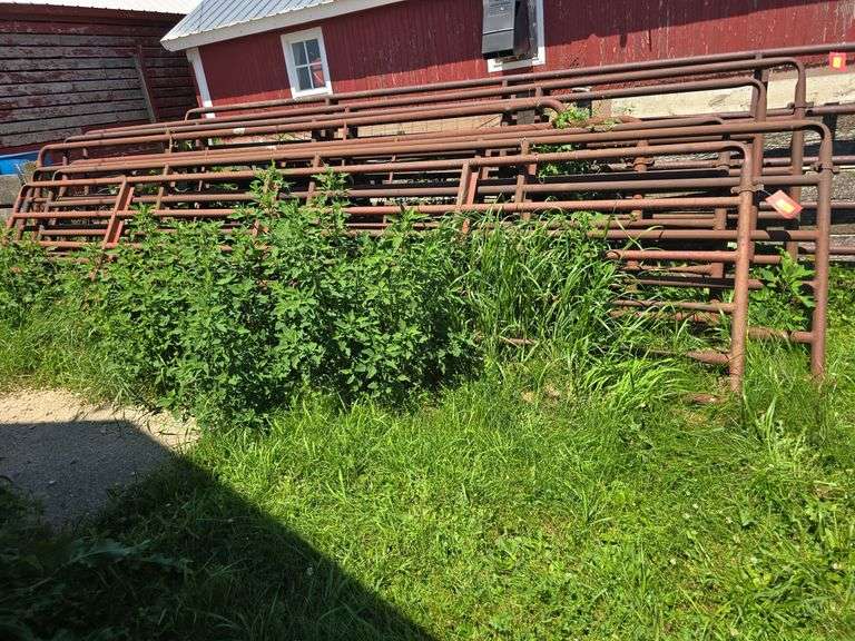 4 pipe gates (1)14' and (3) 16' x 4 image