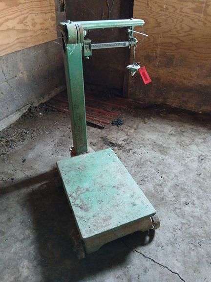 Platform scale image