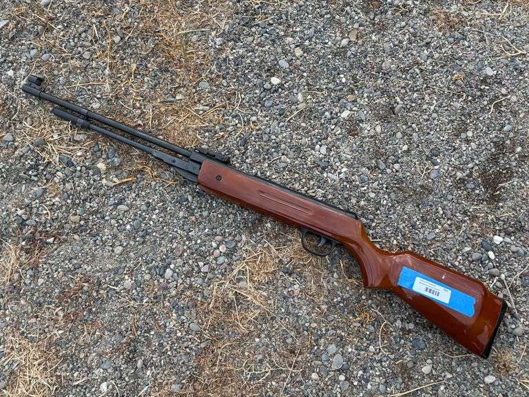 Pellet gun image