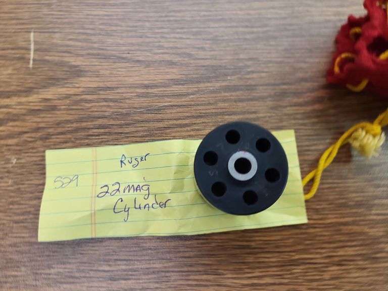 Ruger 22 image
