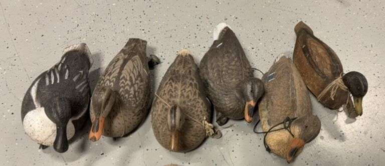 Lot of Six Duck Decoys image