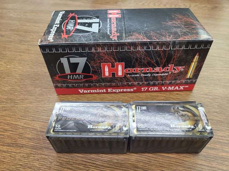 17 HMR image