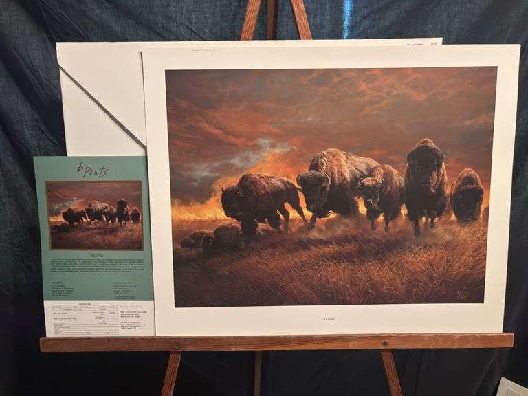Signed and numbered Barbara Peets print unframed - with certificate of authenticity “Wildfire” 27 x 21 image