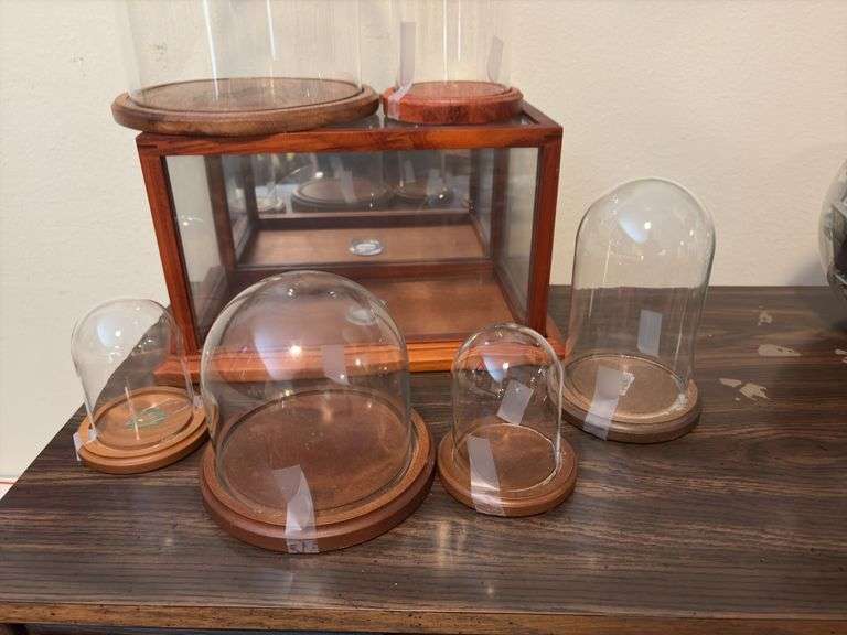 6 glass domes and glass display box