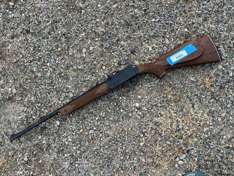 Pellet gun image