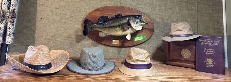 June 1987 taxidermied fish, various hats, US Navy trinket box and North American Hunting Club collector coins ONE OF THE COINS ROLLED BEHIND THE DESK< DONT FORGET IT! image