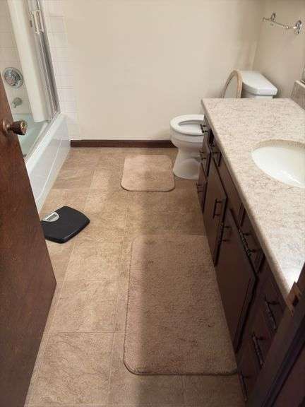 Contents of two baths includes cleaning supplies, bandaids, scales, rugs, etc image