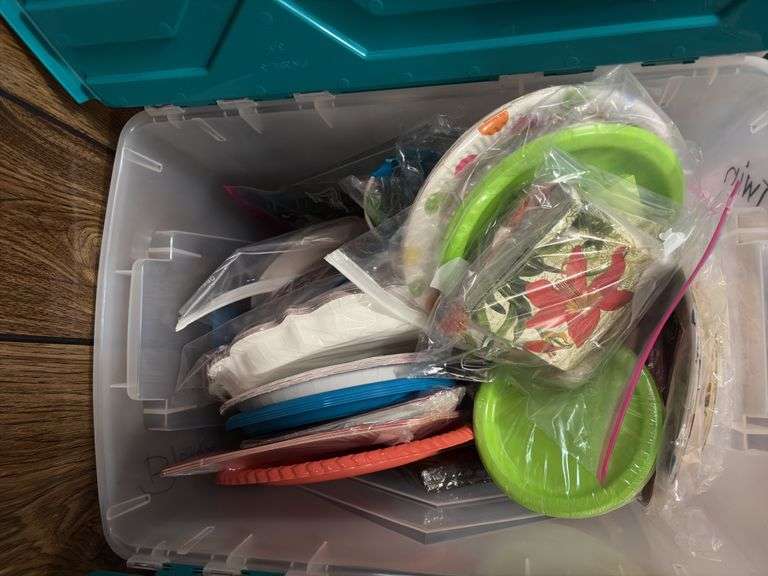 All kinds of disposables-plates, napkins, cups, etc