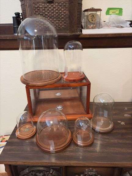 6 glass domes and glass display box image