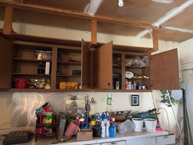 Weed killers, pruners, miracle grow, cordless drills, etc image