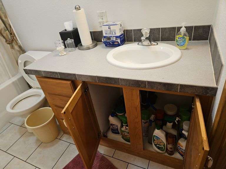 Bathroom Accessories - All Contents, Scale, Full Body Sensor Scale, Cleaning Supples, Rug, Kleenex Holder (Bring Boxes to Pack)
