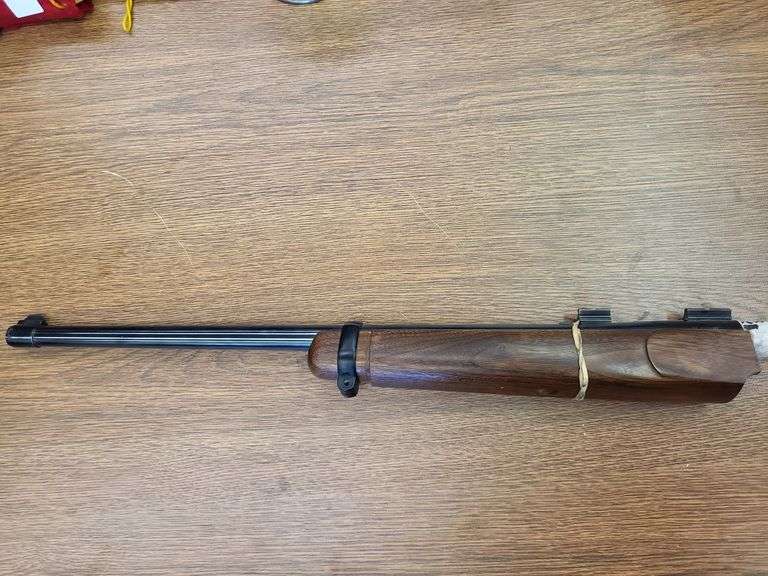 . 22 hornet image