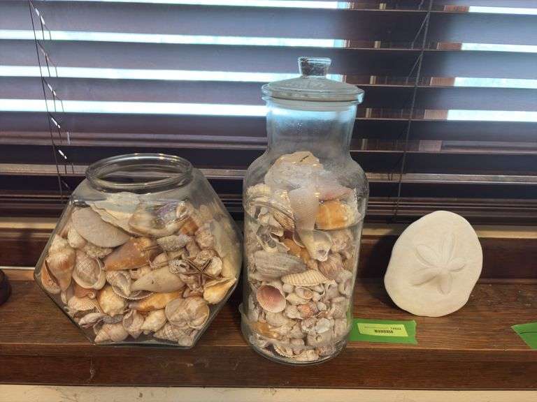2 large jars of seashells and sand dollar image