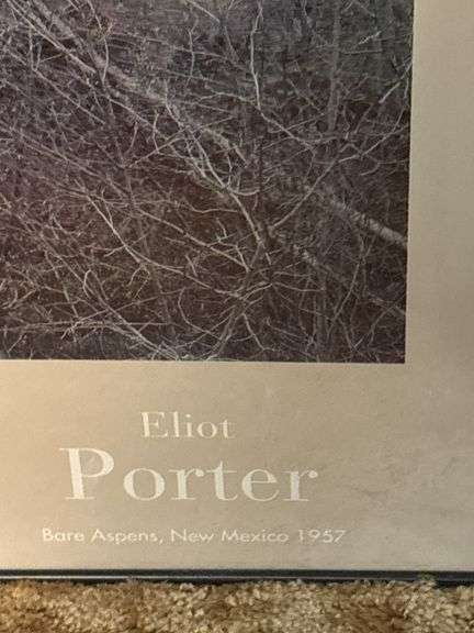 Three pieces of Eliot Porter wall art