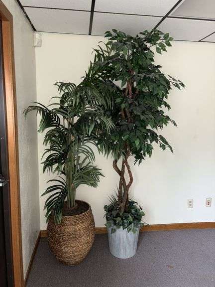 Two approx 6’ tall artificial plants image