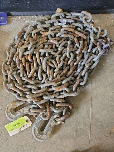Log chain 3/8 x 20' image