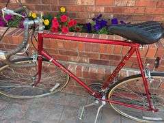Azuki Men’s Bike