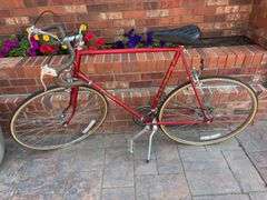 Azuki Men’s Bike