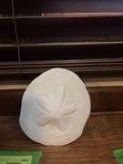 2 large jars of seashells and sand dollar