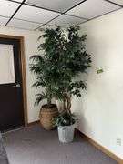 Two approx 6’ tall artificial plants