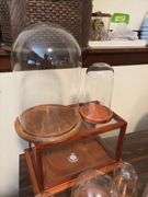 6 glass domes and glass display box