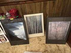 Three pieces of Eliot Porter wall art