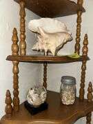 Sea shells and sea shell art