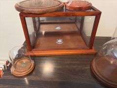 6 glass domes and glass display box