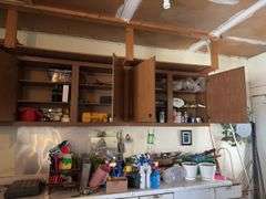 Weed killers, pruners, miracle grow, cordless drills, etc