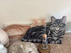 Crazy cat group, MEOW 😸