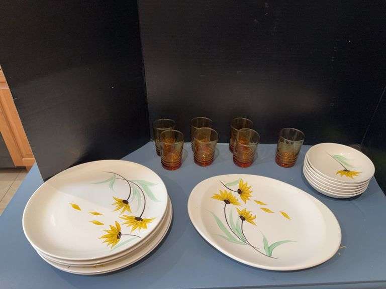 Canonsburg Skyline Pottery Wind Blown pattern dishes and amber juice glasses image