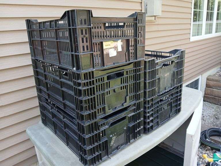 5 plastic bulb crates image