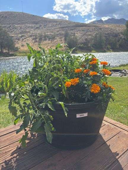 Two plastic barrel style planters with live plants - one with a wood stand image