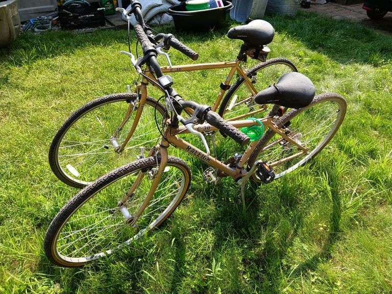 2 Raleigh C30 21 speed bicycles 19" & 15" image