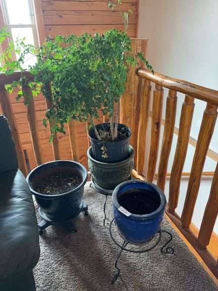 Flower pots, live plant and stands image