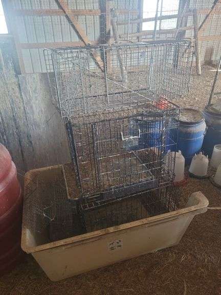 Traps, cage, and big dog house (we recommend wearing mask and gloves to remove this item) image