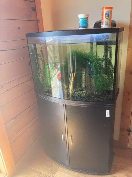 Fish tank 31x16x53 with live fish, you will need to come prepared to move your fish and water from tank before moving it image