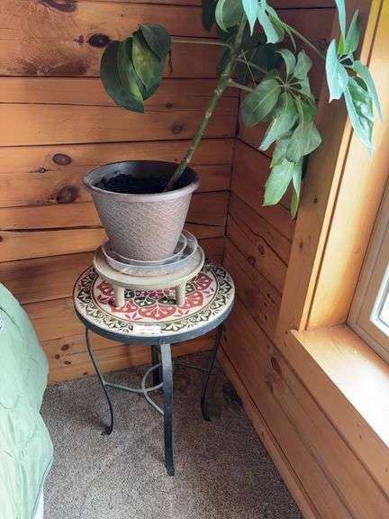 Live plant, ceramic top table image