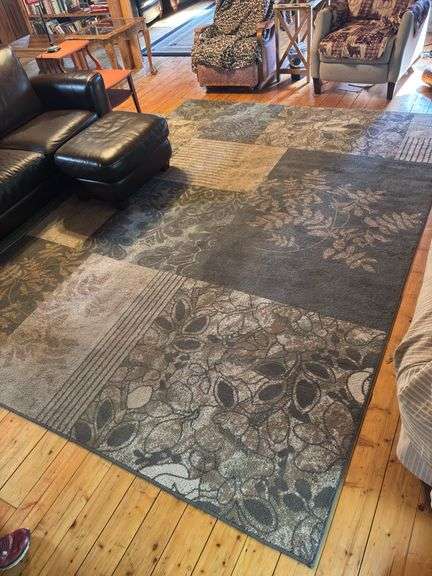8 x 10 area rug - pet friendly 🐶 image