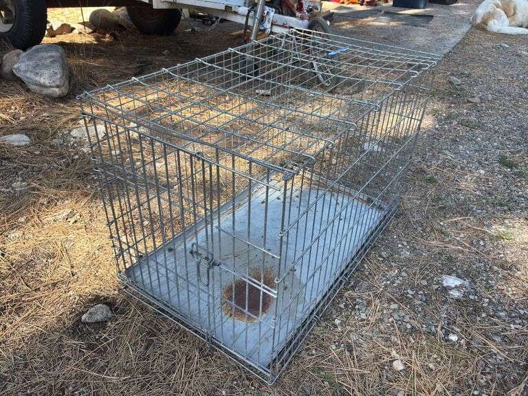 Medium dog kennel image