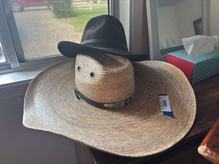 Two hats image